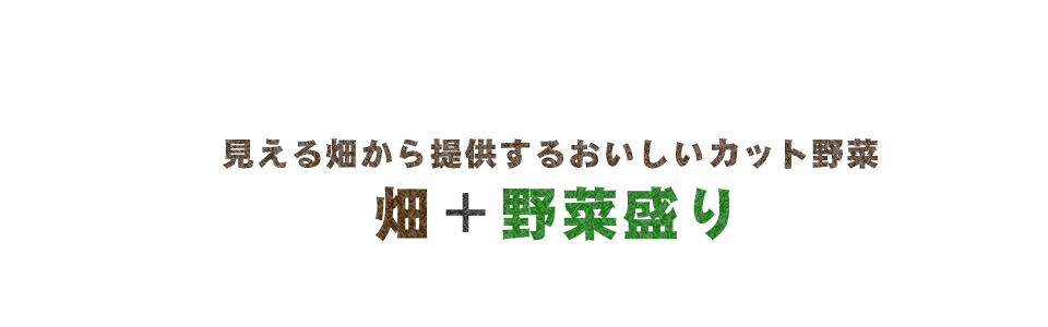 株式会社ザ・ネクストワン