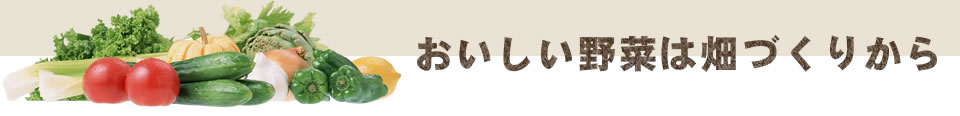 おいしい野菜は畑づくりから