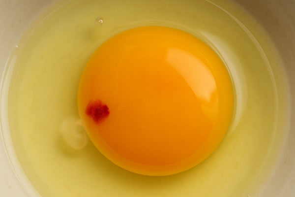 ブラッドスポット